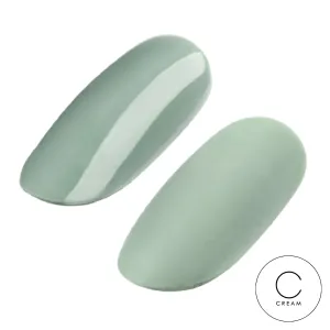 GEL POLISH #009