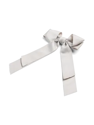 PCTANNA Hairclip - Silver Gray